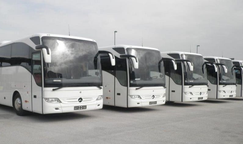 Czech Republic: Bus company in Pardubice in Pardubice and Czech Republic